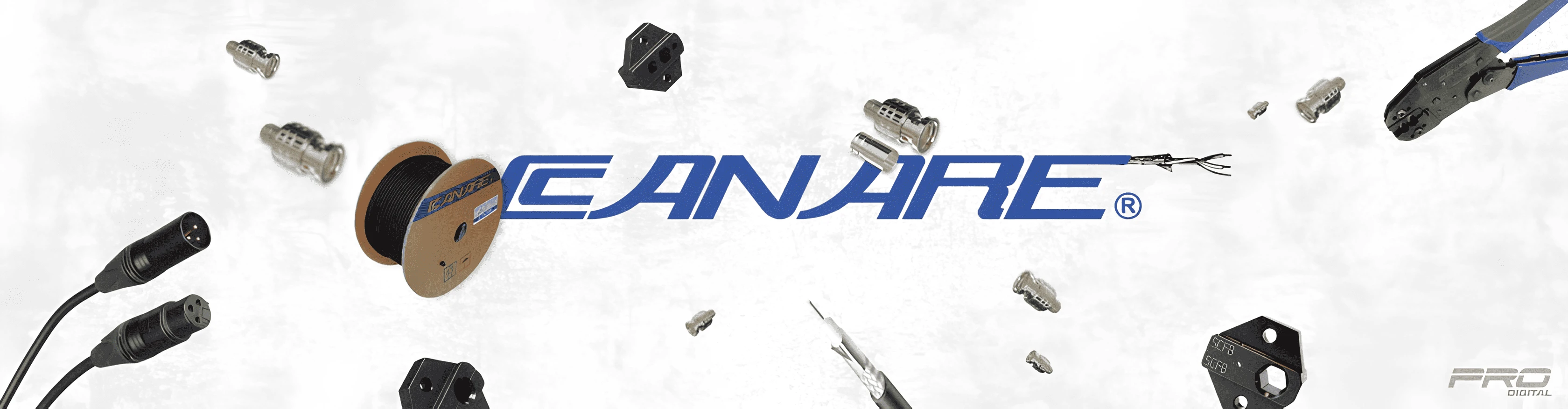 BANNER CANARE 2025